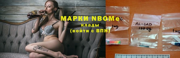 стаф Новодвинск