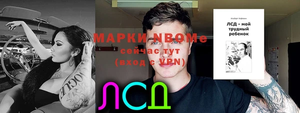стаф Новодвинск