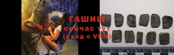 стаф Новодвинск