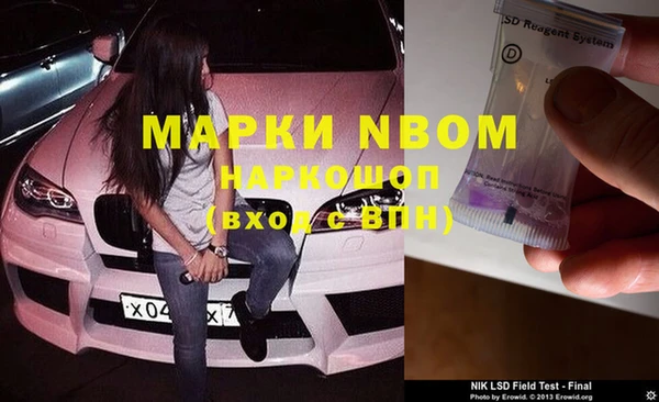стаф Новодвинск