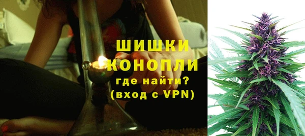 ALPHA PVP Новозыбков