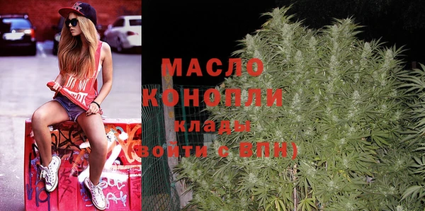 стаф Новодвинск